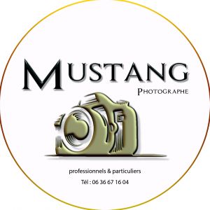 Avatar logo | Mustang Photographe | Béthune France | photographer 360 tour
