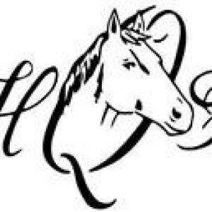 Avatar logo | Olivia-Ranch | Photographe visite virtuelle 360° 3D