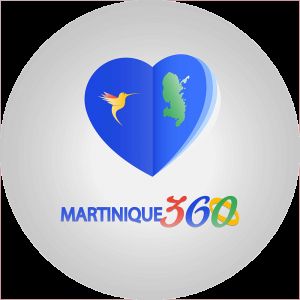 Avatar logo | MR JIMMY HELLENIS | Gros-Morne Martinique | photographe visite virtuelle 360