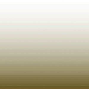 Avatar logo | David Schanen | Seattle United States | photographer 360 tour