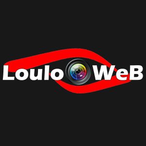 Avatar logo | LouloOWeB | photographer 360 tour