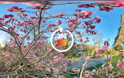 FRANCE Tour Effeil et les fleurs naissantes