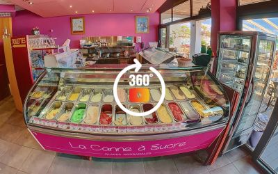 La Canne à Sucre