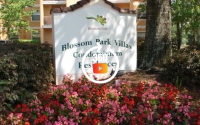 FOR RENT BLOSSSOM PARK
