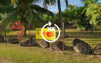 A vendre terrain de 2347M2 en Bord de route Papara