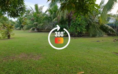 A vendre terrain de 1175M2 C\/Mont. à Papara (Proche plage)