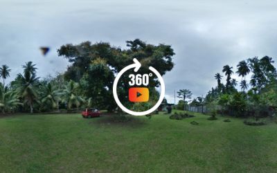 A vendre un terrain plat de 1061 M2 côté montagne à Papara-Centre.