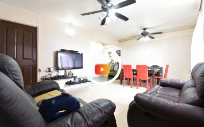 417 Jurong West Street 42