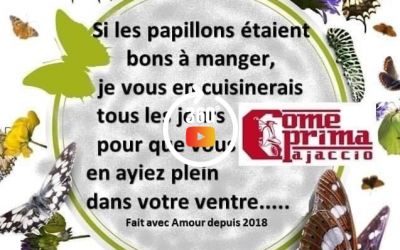 TRAITEUR COME PRIMA